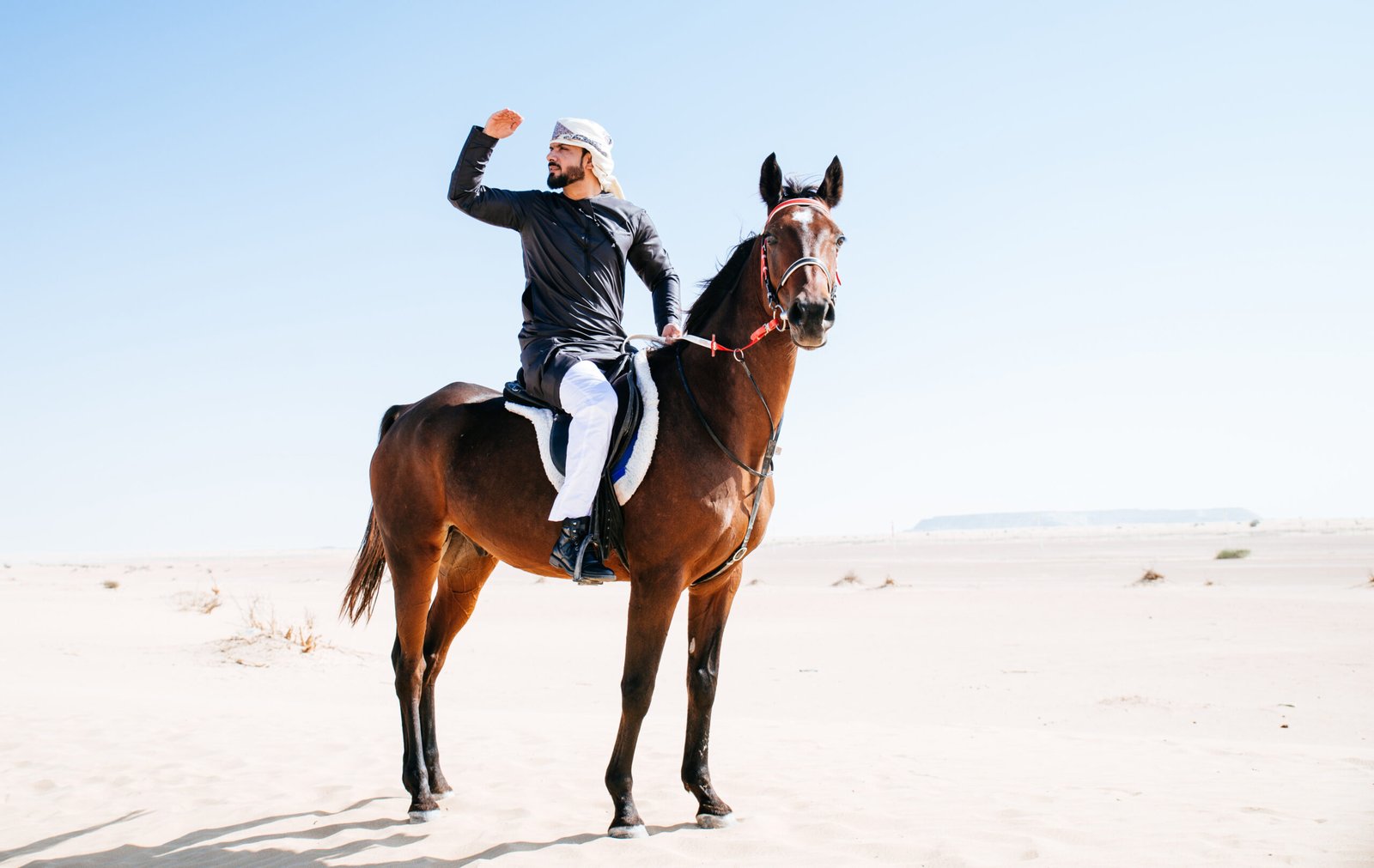 Majestic Human Performance & Elite Sports Strategy