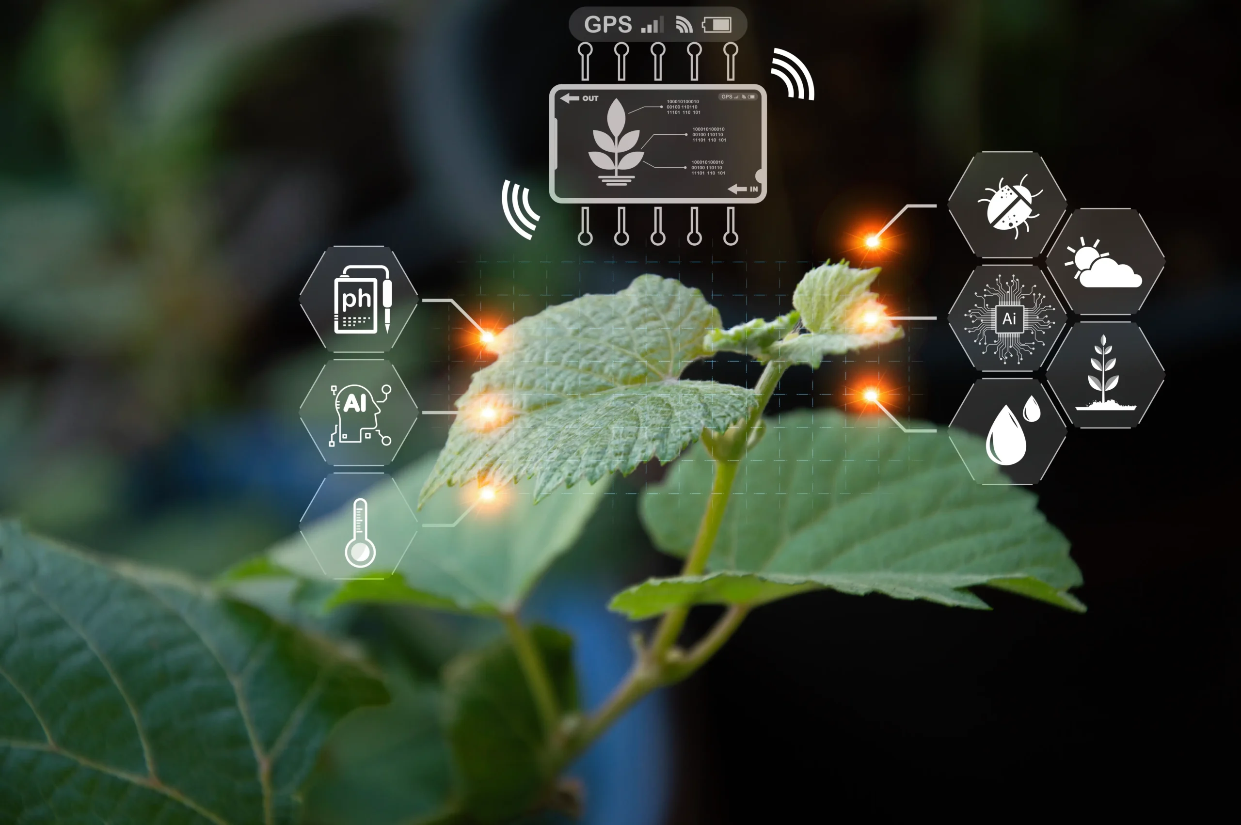 Food, Agritech & Resource Intelligence
