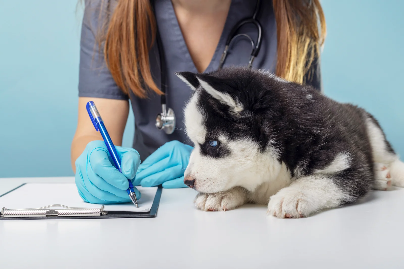 Veterinary & Animal Health